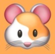 WWW,hhh48·COM网站APPAPP应用